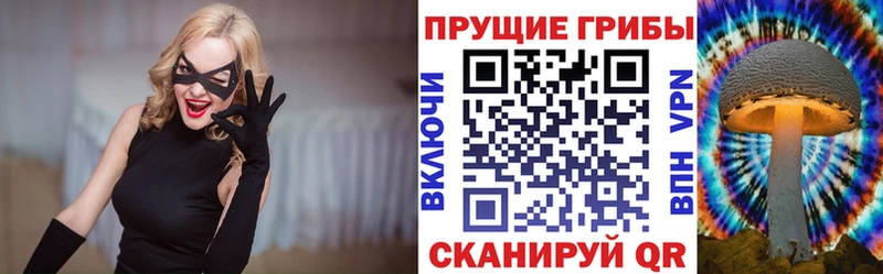 Галлюциногенные грибы Cubensis  Купить закладки  Мезень 