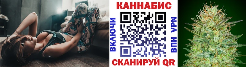 Конопля индика  Купить где  Мезень 